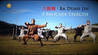 八段锦 · Ba Duan Jin 8 Brocade Exercise Qi Gong [upl. by Isyad]