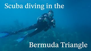 Come scuba diving with me  Bermuda’s beautiful coral reefs [upl. by Akinom]