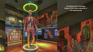 Unveiling Human Biology Explore The Corpus Museum in the Netherlands [upl. by Gahan608]