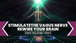 Stimulate The Vagus Nerve Rewire Your Brain  Reverse Anxiety amp Ongoing Stress  528Hz Relaxing Tone [upl. by Cleave]