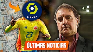 FICHAJE INESPERADO x COLOMBIANO SE CAE A PUNTO de FIRMAR l NESTOR LORENZO SOBRE LA FINAL [upl. by Neisa479]