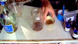 Making rhodiola rosea Golden Root tincture [upl. by Elolcin326]