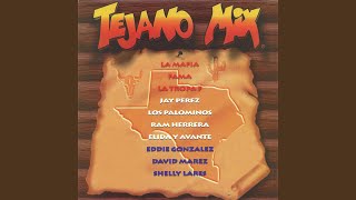 Tejano Mix Radio Edit [upl. by Hartman]