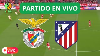 EN VIVO  BENFICA VS ATLETICO MADRID  CHAMPIONS LEAGUE [upl. by Paulette439]