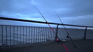 UK SEA FISHING 6FT CONGER EEL CHRISTMAS SPECIAL CATCHES TIPS AND MORE BRISTOL CHANNEL [upl. by Narba]