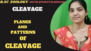 CleavagePlanes And Patterns Of Cleavage BSc 3rd year Developmental biologyCleavage Embryology [upl. by Winebaum]