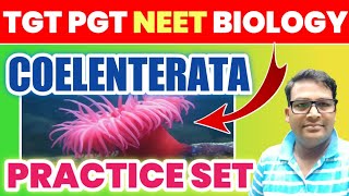 Coelenterata best MCQ  cnidaria mcq  TGT PGT LT GIC amp NEET Biology cnidariamcq coelenteratamcq [upl. by Aneehc]