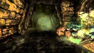 Amnesia  The Dark Descent  HD Walkthrough Part 10 Morgue amp Sewers [upl. by Blatman]