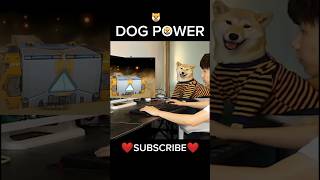 Dog 🐶 power all bundle in one spin 10x spin power 😈 IMPOSSIBLE spin shorts [upl. by Makell605]