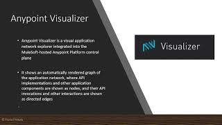 Anypoint Visualizer on MuleSoft Anypoint Platform [upl. by Aerdma]