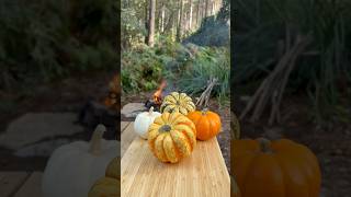 Balkabağında kuzu kapama  lamb in pumpkin 🎃 cookingfood cooking outdoorcooking asmr camping [upl. by Vale181]