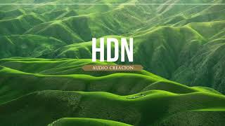 Track jincheng zhang INSTRUMENTAL  No Copyright  HDN audio creación [upl. by Nwahsyar]