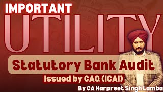 Important Utility for STATUTORY BANK AUDIT BANK UTILITY BANK EXCEL UTILITY EXCEL UTILITY CAQ IC [upl. by Lav]