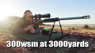 300 Winchester Short Magnum at 3001yards [upl. by Guenevere]