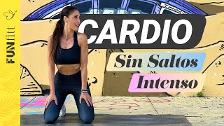 ¡Adiós Barriga Cardio Intenso Sin Saltar para Eliminar Grasa Abdominal [upl. by Tamarra]