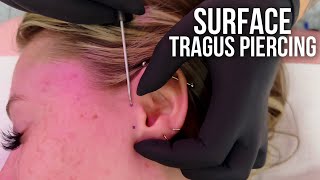 Everything You Need to Know About Tragus Piercings [upl. by Gregg212]