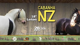 18º LEILÃO DE CAVALOS CRIOULOS  CABANHA NZ [upl. by Shelia]