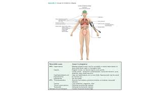 Maternal collapse in pregnancy l Greentop guideline  MRCOG Part 2 [upl. by Rae178]