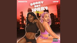 Sorry Not Sorry Remix [upl. by Lodnar]