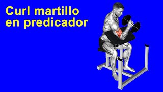 Ejercita el bíceps con la rutina curl martillo en predicador [upl. by Leugimsiul]