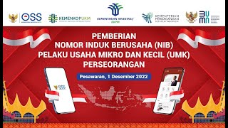 Pemberian Nomor Induk Berusaha NIB Bagi Pelaku UMK Perseorangan di Lampung [upl. by Whitelaw]