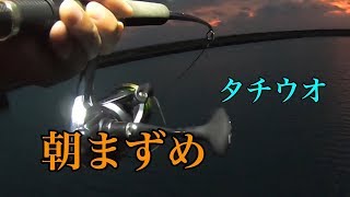 メタルマルで活性の低いタチウオを釣る 【沖縄釣り】【ブリーデン】 [upl. by Teage212]