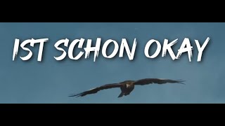 BWS  Schon okay [upl. by Arhsub]