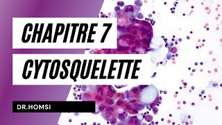 Cytologie  Chapitre 7 Partie 2  Dr Homsi [upl. by Divan]