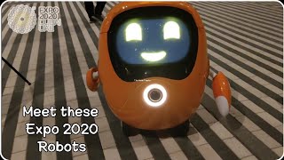 INTERACTING with EXPO 2020 DUBAI ROBOTS  Expo Series PART 3  Naaz [upl. by Nyra]