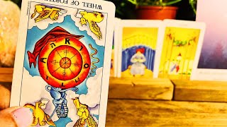 Leo 🍀SUPER SUPER HAPPY NEWS  ♌️Money and Career Tarot Reading [upl. by Navanod]