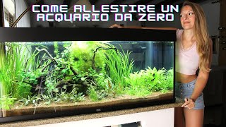 Allestimento di un acquario come fare [upl. by Marrin]