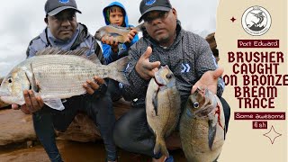 Musselcracker caught on Bronze Bream trace on the South Coast  RAINS BRUSSER AND BRONZE BREAM [upl. by Stichter]