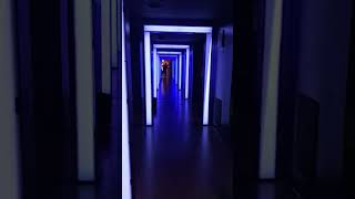 Meow Wolf Denver Colorado Convergence Station Immersive Art Interactive Sculptures 3D Hallway Clip [upl. by Zela]