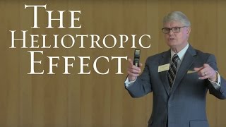 The Heliotropic Effect The Wheatley Institutions Approach to Ethics and Virtuousness  Kim Cameron [upl. by Trace]