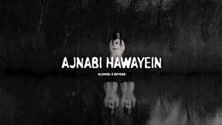 Ajnabi Hawayein Slowed  Reverb  Shaapit 2010 Movie Song  Love Horror Song  SkSujitSadDuniya [upl. by Uok]