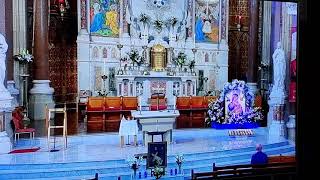 Church of the Most Holy Redeemer Clonard Monastery Belfast Northern Ireland [upl. by Dimmick881]