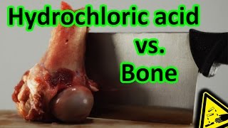 Hydrochloric Acid vs Bone total decomposition 🍖 [upl. by Airetnahs471]