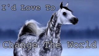 Id Love To Change The World  Arabian Horse Music Video [upl. by Heger817]