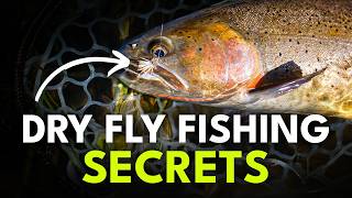 How To Catch More Fish on Dry Flies  Ep 98 [upl. by Noxas]