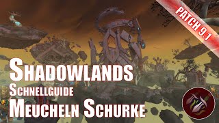 Shadowlands Meucheln Schurke Schnellguide World of Warcraft Patch 91 [upl. by Leake]