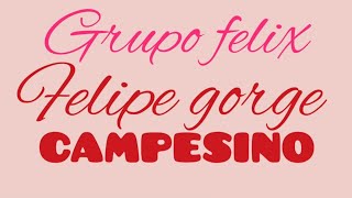 CAMPESINO KaraokeGrupo Felix Felipe Gorge [upl. by Laux]