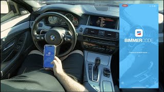 BMW F10 528i 535i 550i BimmerCode  iCar Pro [upl. by Annerahs303]