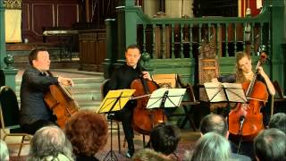 DOTZAUER Pieces for Three Cellos op104 Harwood  Tal  Zlotnikov [upl. by Rosabel]