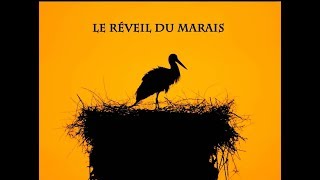 LE RÉVEIL DU MARAIS documentaire animalier [upl. by Aihcats]