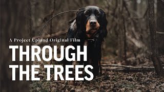 Woodcock Hunting with Gordon Setters  Project Upland Magazine with Stephen Faust [upl. by Eugenie]