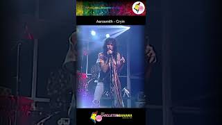 Aerosmith  Cryin 1993 festaanos80 festaanos90 flashback [upl. by Basilio]