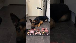 German Shepherd Eating His Monday Mukbang 🥩🦴🐄🐑🦆🦃🥦🥕🫐🍌 asmr [upl. by Ishii]