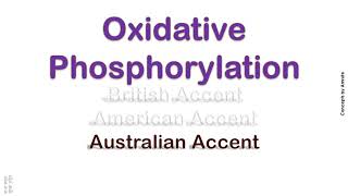 Oxidative Phosphorylation How to Pronounce Oxidative Phosphorylation in American Accent [upl. by Kiraa]