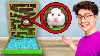 I Built a Minecraft Maze for my Hamster [upl. by Fitzhugh]