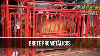 Brete Prometalicos  TvAgro por Juan Gonzalo Angel [upl. by Kezer]